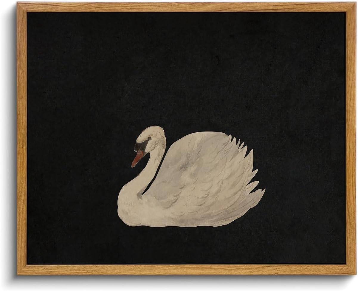 OIQArtOIQ Framed Canvas Wall Art,Vintage Decor,Landscape Nature Country Wildflower Paintings Farmhouse Pictures Modern Artwork Rustic Fall Flower Prints Cottagecore Office Living Room Bedroom Bathroom