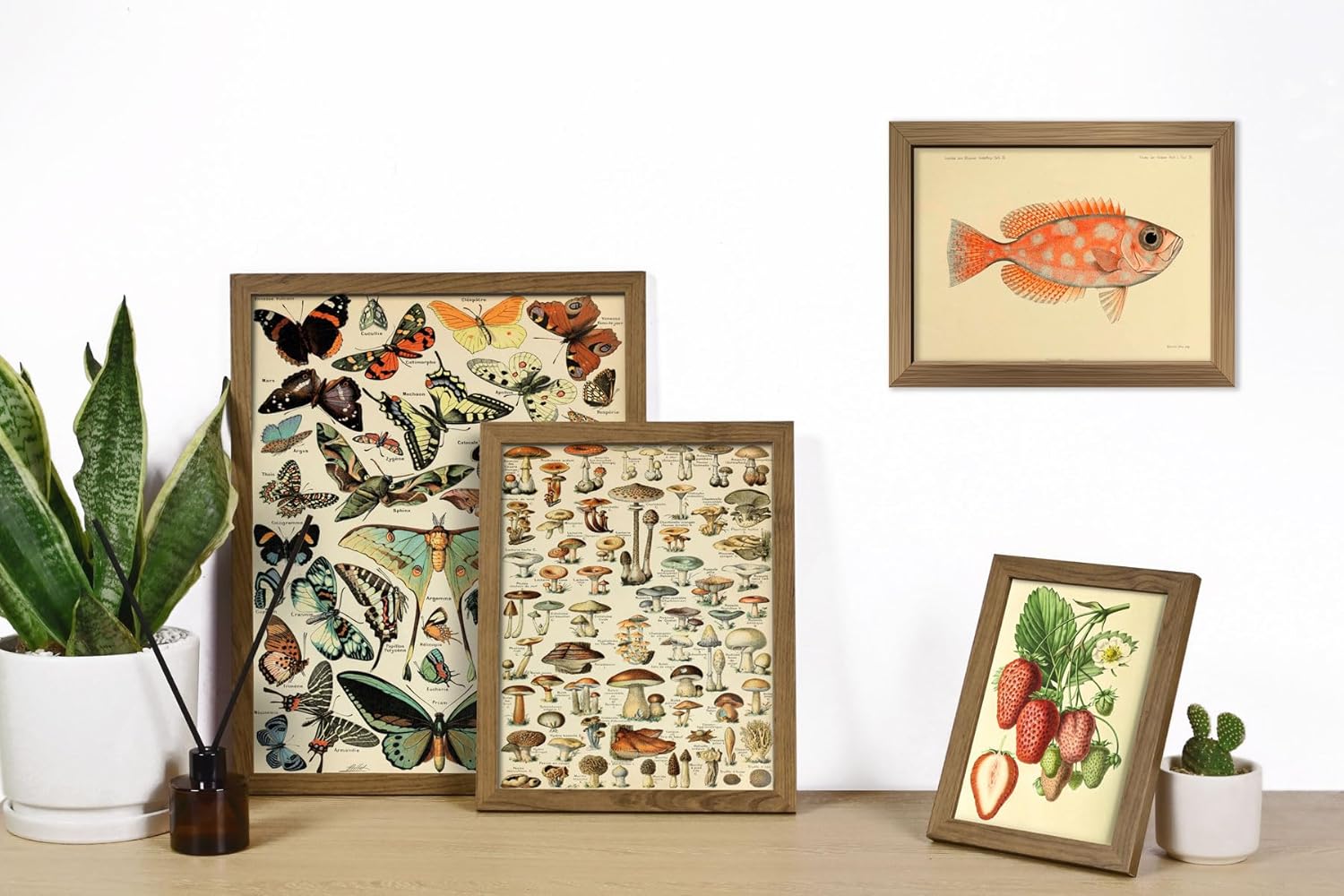 ANERZA 16 PCS Framed Vintage Wall Art Decor, Botanical Cottagecore Wall Prints for Bedroom, Gallery Wall Frame Set, Farmhouse Posters for Living Room Aesthetic, Rustic Dorm Home Collage Kit