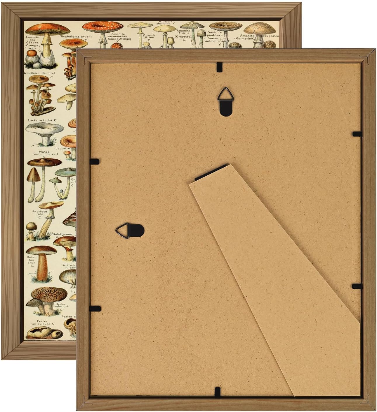 ANERZA 16 PCS Framed Vintage Wall Art Decor, Botanical Cottagecore Wall Prints for Bedroom, Gallery Wall Frame Set, Farmhouse Posters for Living Room Aesthetic, Rustic Dorm Home Collage Kit